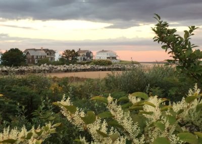 Coastal homes at Kinney Shores